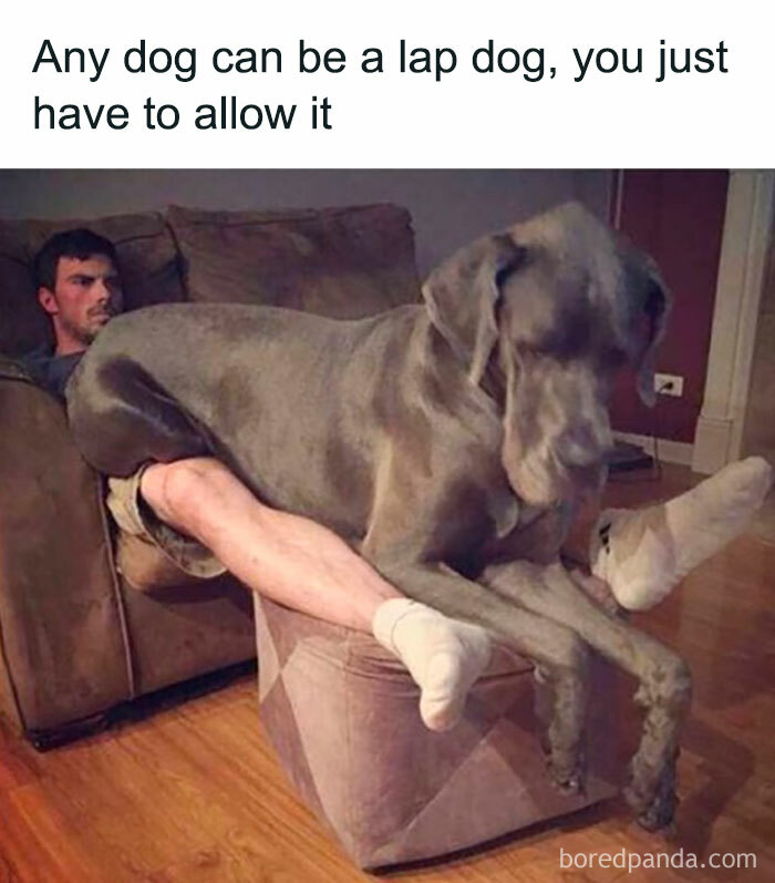 Awkward Animals: 48 Pics ‘For Animal Lovers Of All Kinds’