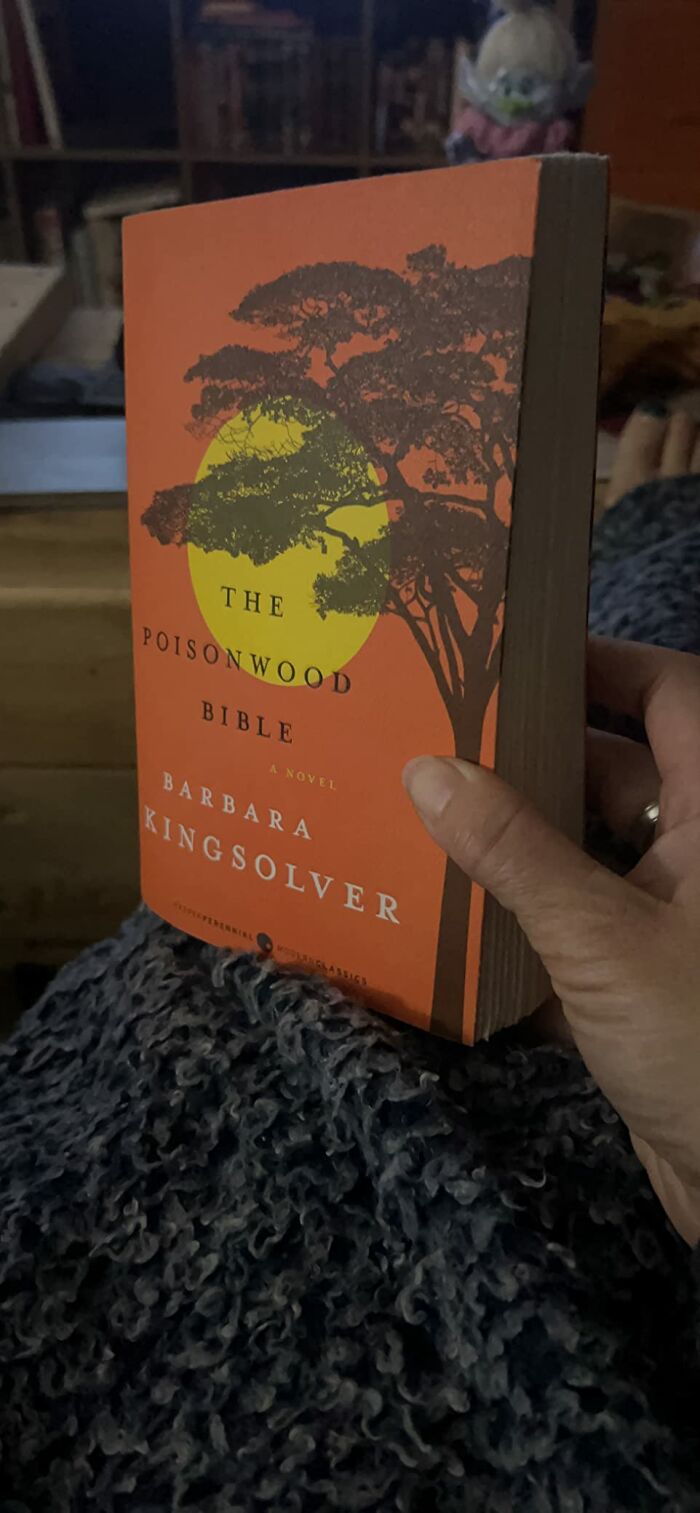 36 Times People Read A Book And Were In Awe