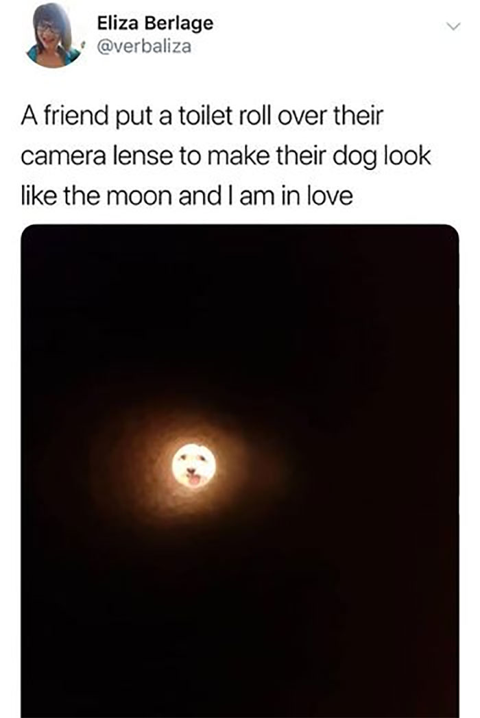 Awkward Animals: 48 Pics ‘For Animal Lovers Of All Kinds’