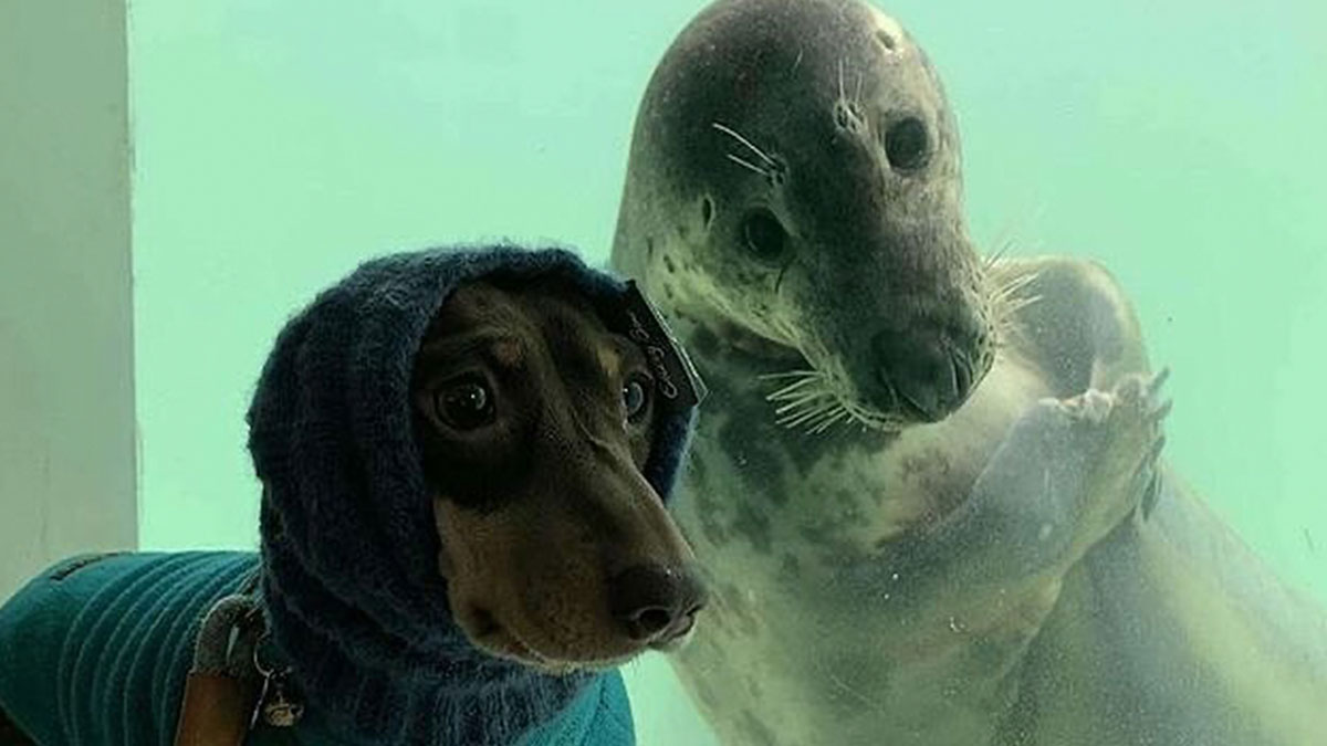 33 strikingly weird images for you to gawk at