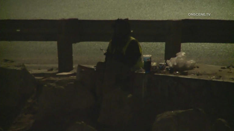 Family’s SUV hit by rock thrower on 110 Freeway in South LA