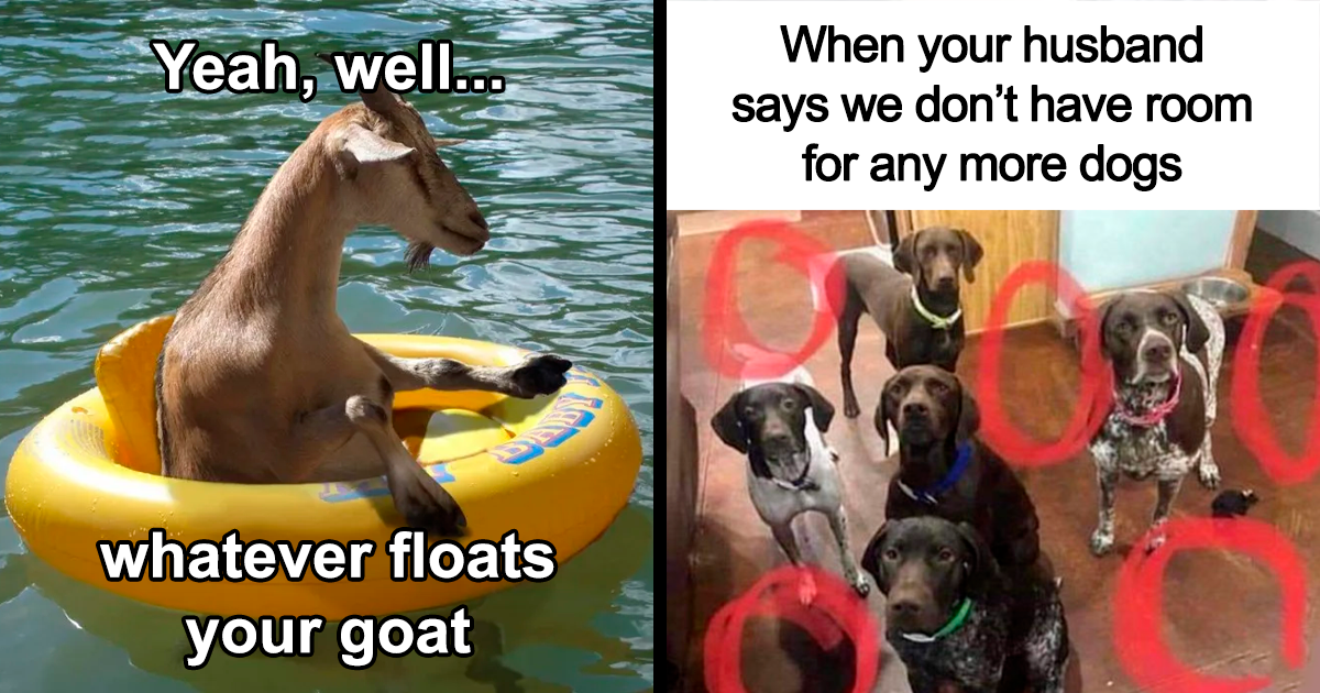 Awkward Animals: 48 Pics ‘For Animal Lovers Of All Kinds’