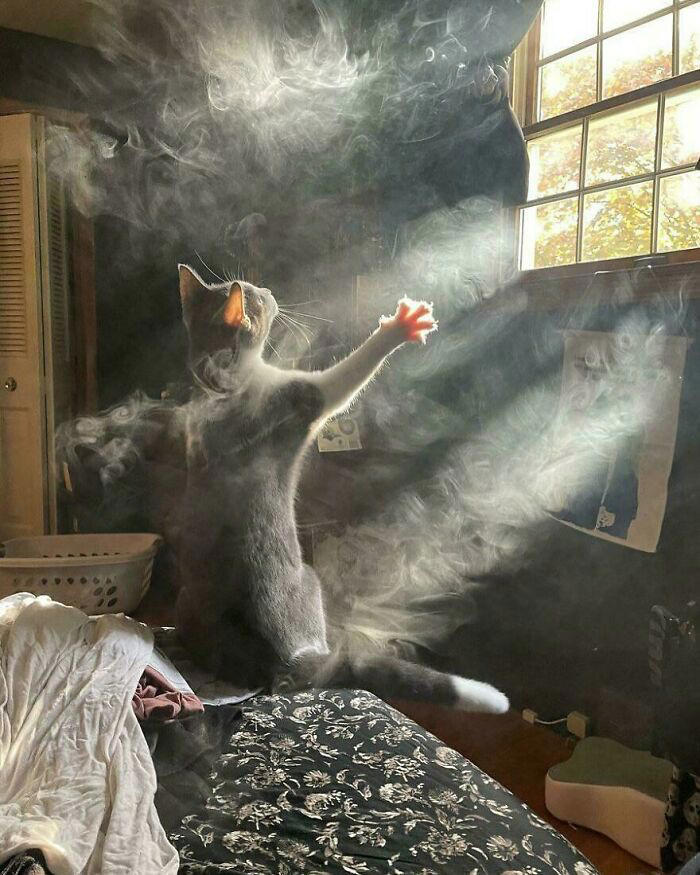 33 strikingly weird images for you to gawk at