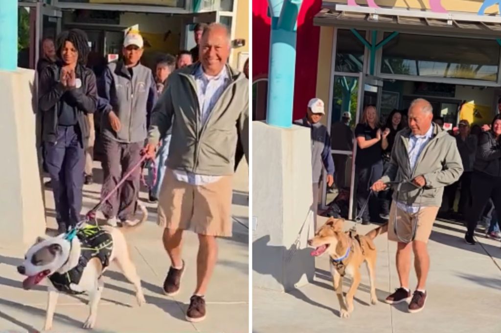 See shelter's longest resident dog reaction to being adopted after 831 days