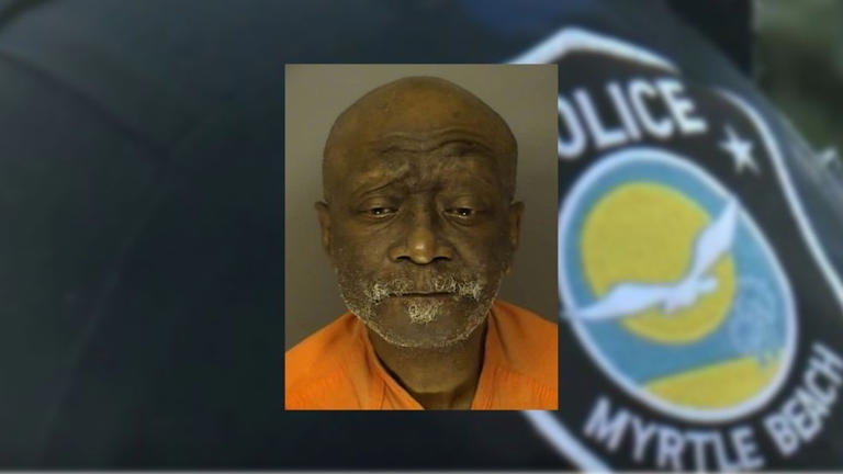 Man arrested for stabbing 2 people during argument near Myrtle Beach ...