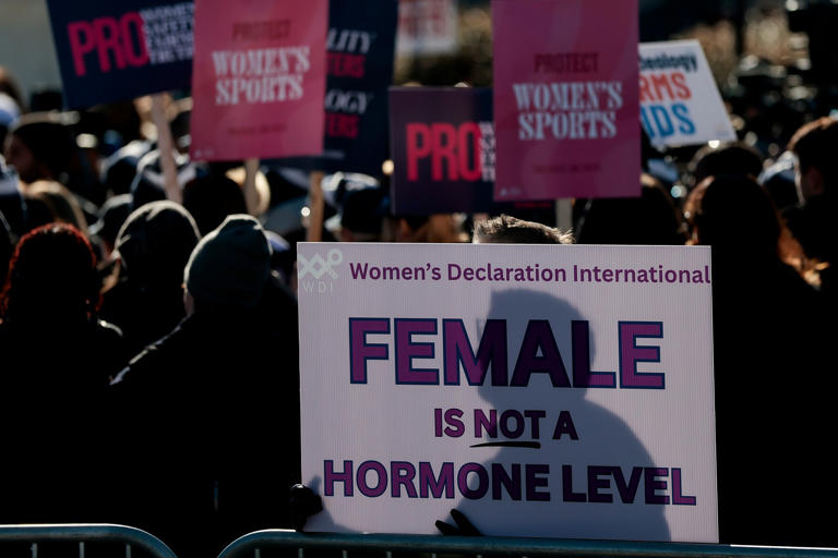 How to recognize transphobia—and what should you do next?