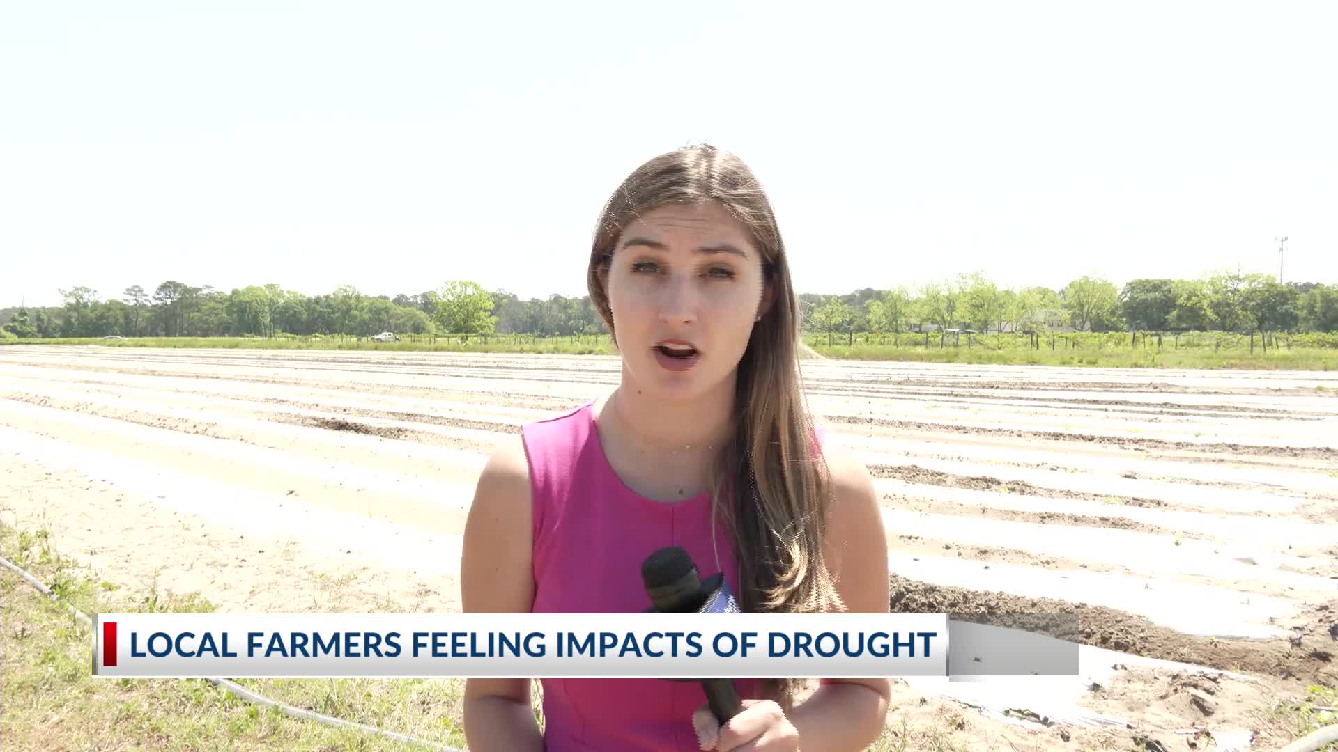Local farmers feeling impacts of drought