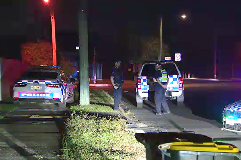 The young girl was walking with her mother, grandmother and younger brother.