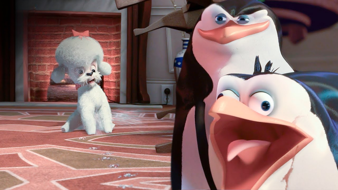 The penguins fight the dog in the apartment | Penguins of Madagascar in ...