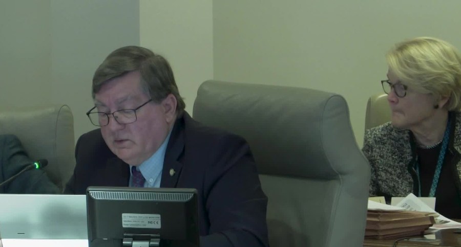 Council pause on data center zoning ordinance will push any vote past ...