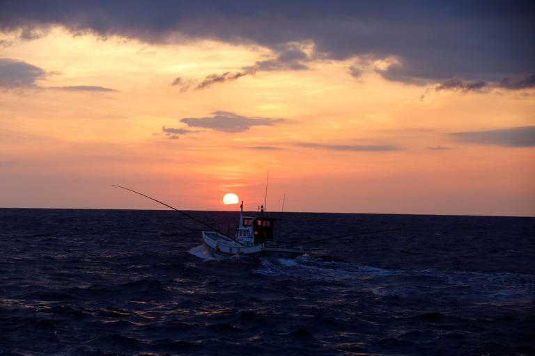 A fishing boat sails away in search of a katsuo (skipjack tuna) fish school, in Tosa Bay, Kochi prefecture, Japan. Kochi's population has been declining over the years. Photo: Reuters