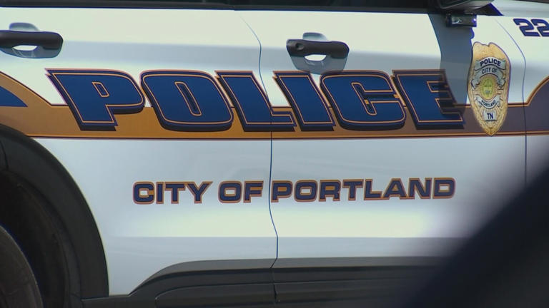 7-month-old girl killed in dog attack at Portland home