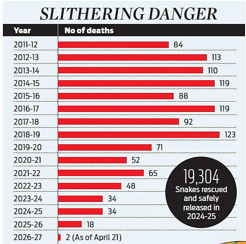 Amid heat, hatchlings push snake sighting calls in Kerala to 3,000 a month