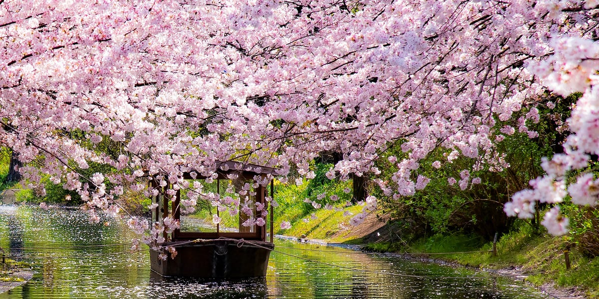 I traveled across Japan to see its ancient gardens—here’s what ...