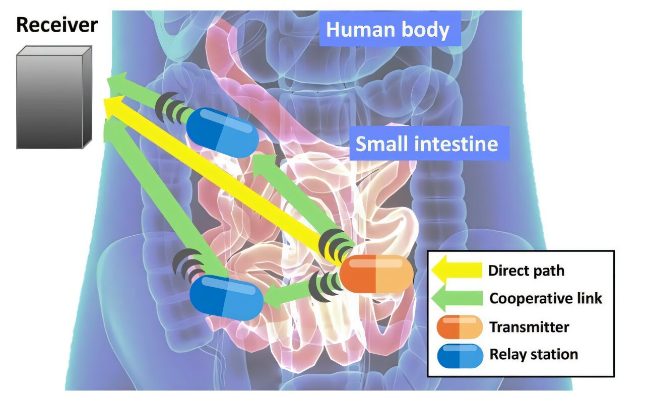 Creating a wireless tissue-aware medical device network in the human body