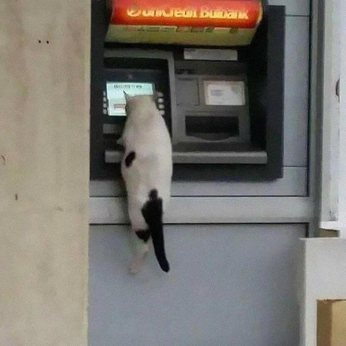 33 strikingly weird images for you to gawk at
