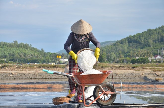 Hạ tầng ở cánh đồng muối lớn nhất miền Trung xuống cấp nghiêm trọng