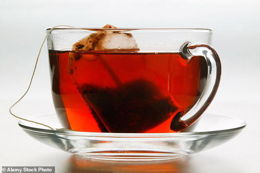 Tea bags release microplastics and nanoplastics into hot water, even those made from plant-based fibers 