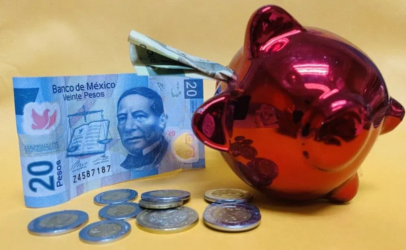 Cómo invertir con poco dinero en México (guía 2026): De CETES a la Bolsa