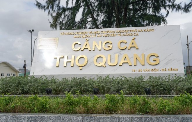 Nhiều dấu hiệu làm giả hàng trăm nhật ký khai thác hải sản ở Đà Nẵng