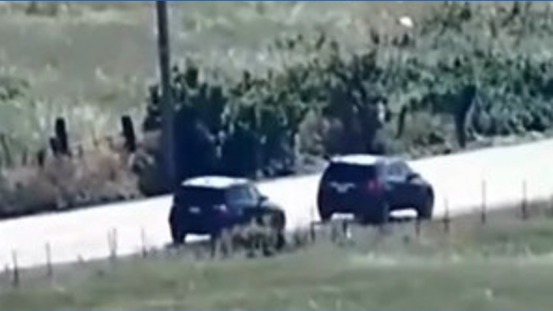 Elk Grove burglary attempt ends with 5 suspects in custody