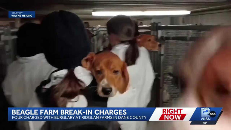 4 activists charged in March break-in at Wisconsin beagle breeding farm