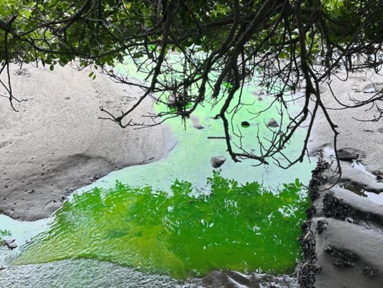 'Awful': Mysterious leak at popular beach