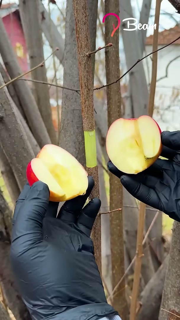 Smart tree propagation hacks #easy #tree #propagation #trick