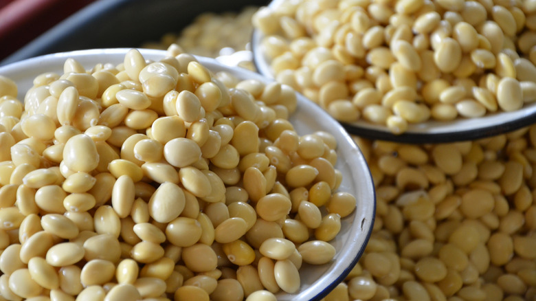 What is chocho and how do you use it?