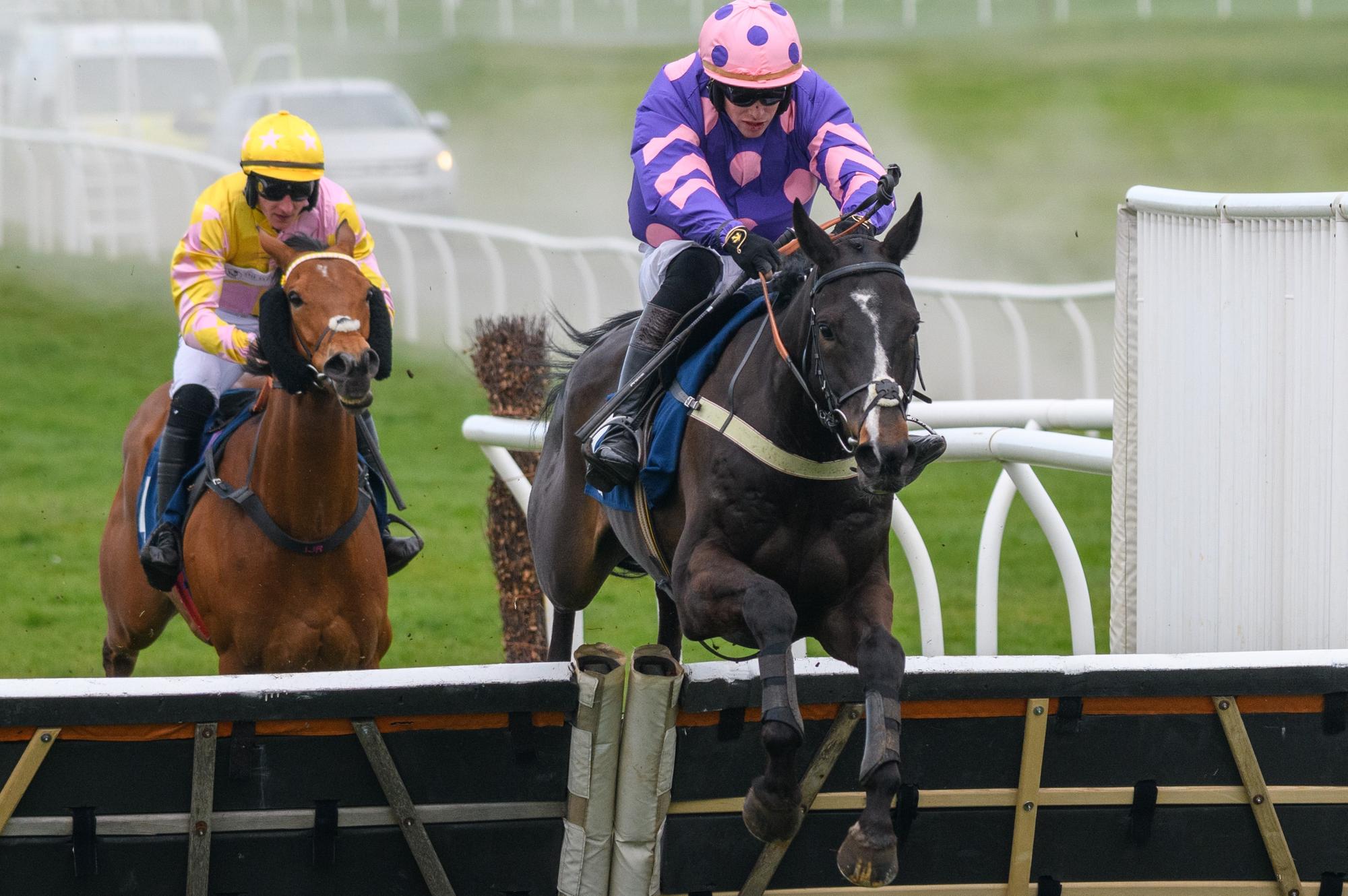 Kelso racehorse trainer Sandy Thomson keeps up winning streak at home ...