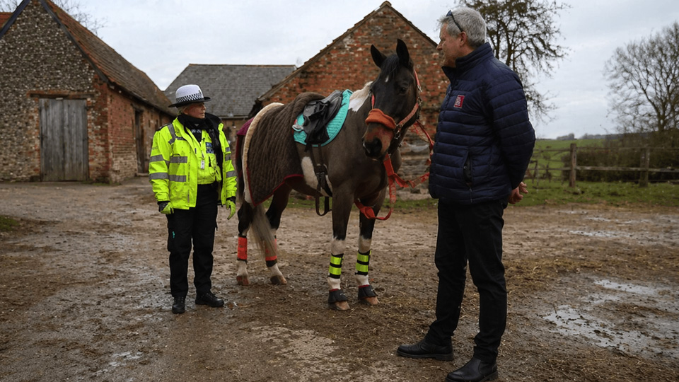 Common driving mistakes around horses