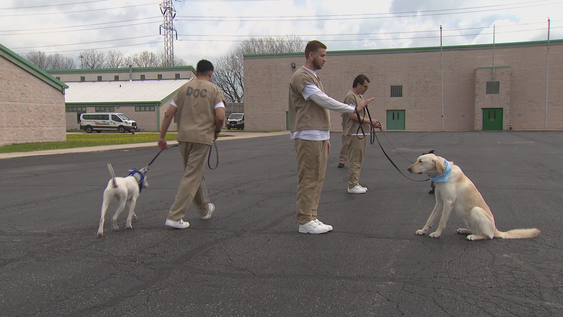 Detainees train shelter dogs for therapy, adoption through Cook County ...
