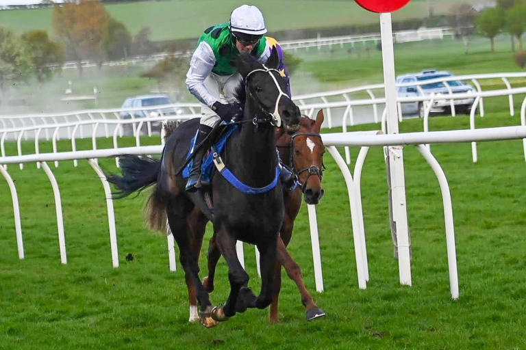 Kelso racehorse trainer Sandy Thomson keeps up winning streak at home ...
