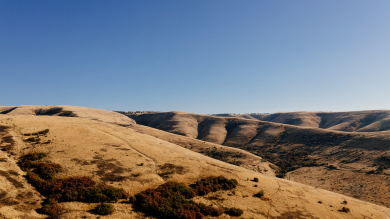 Situated Between Portland And Boise Is One Of America's 'Top True West Towns' With Historic Charm And Fun