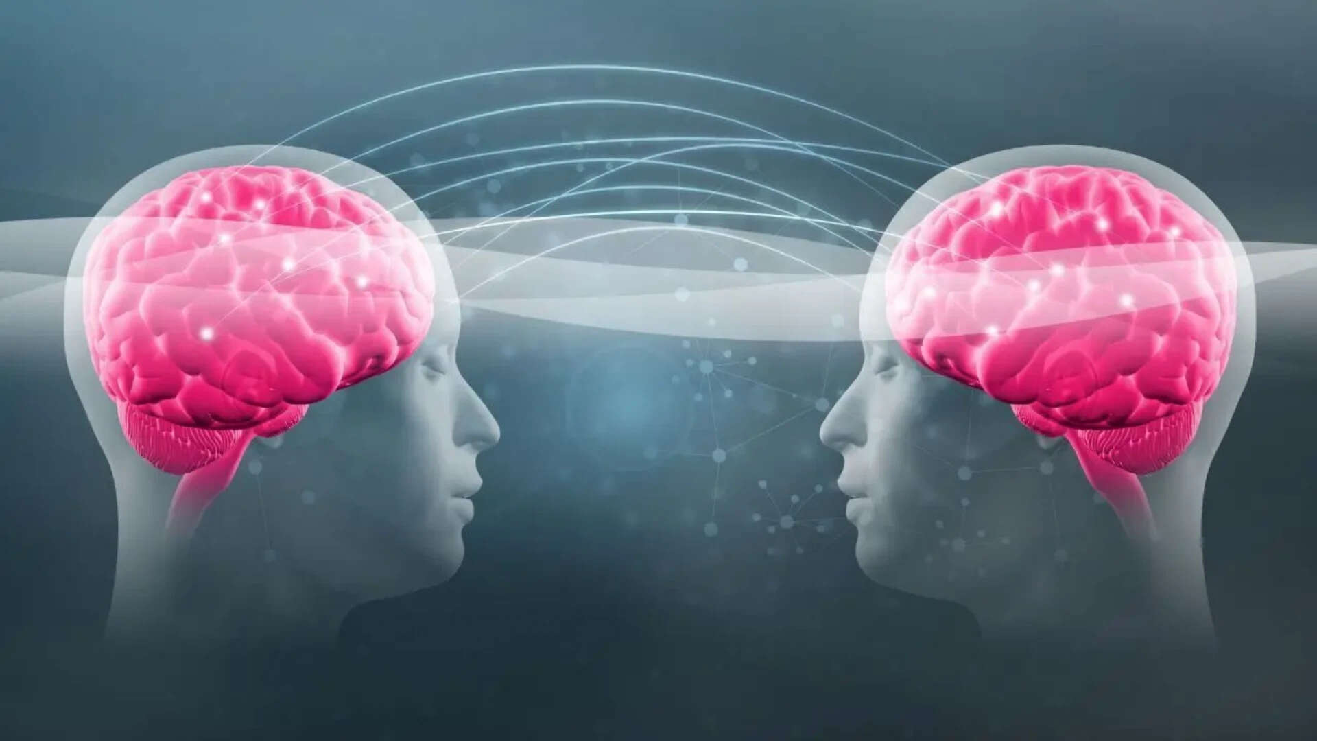 ‘Cutest thing ever’: The viral ‘Twin Telepathy Challenge’ is winning ...