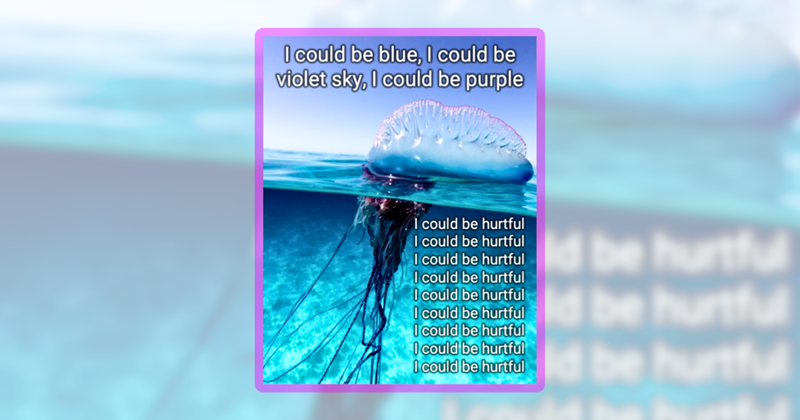 Dopamine deep dive of 26 aquatic animal memes to blub away the day