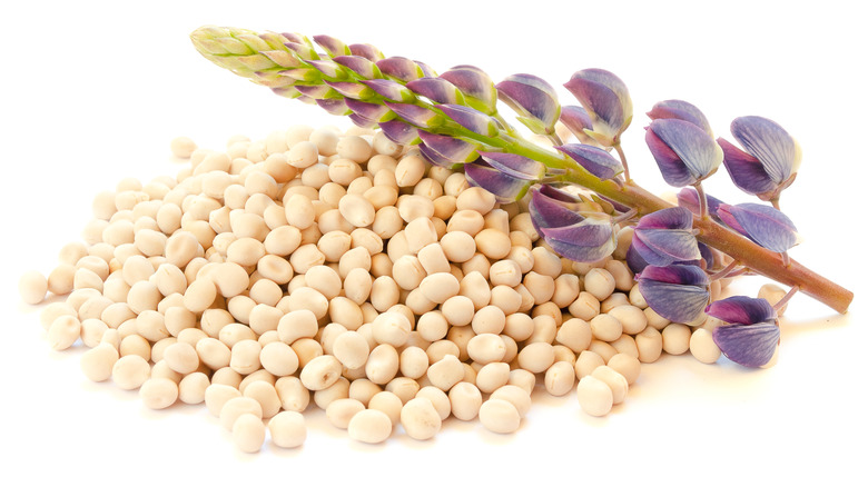 What is chocho and how do you use it?