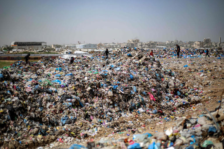 'A nocturnal threat': Rodents and disease spread through Gaza’s ...