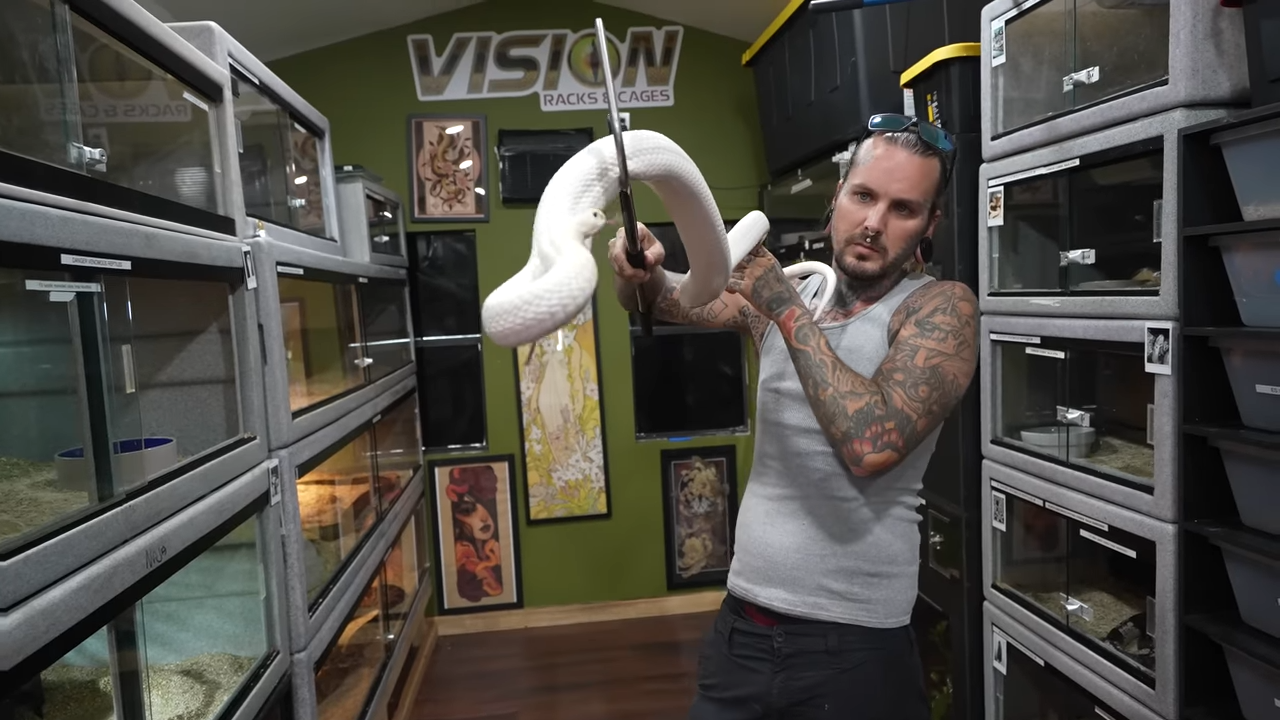 He tried a new snake hook - and faced a massive rattlesnake