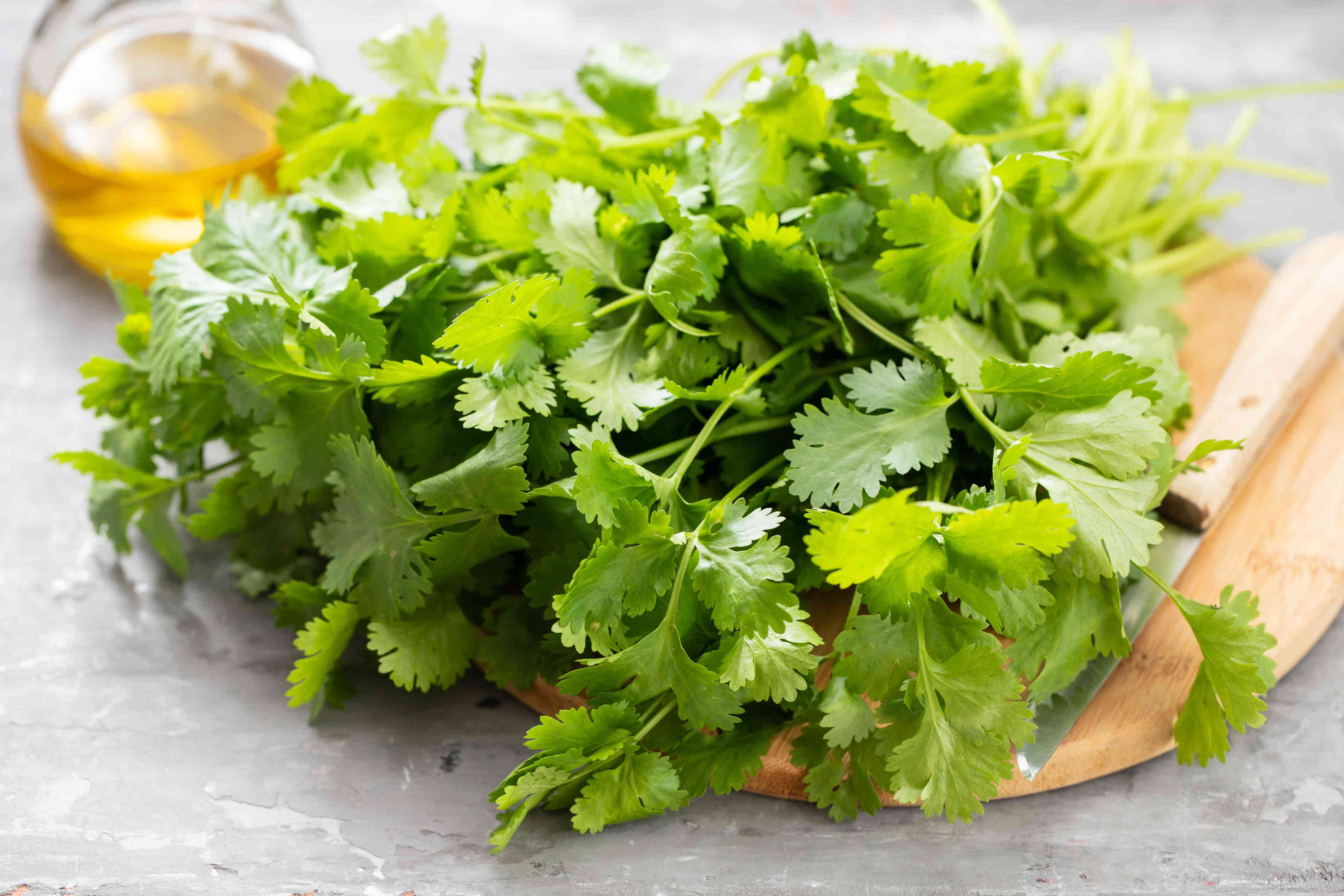 The only way you should store cilantro so it lasts