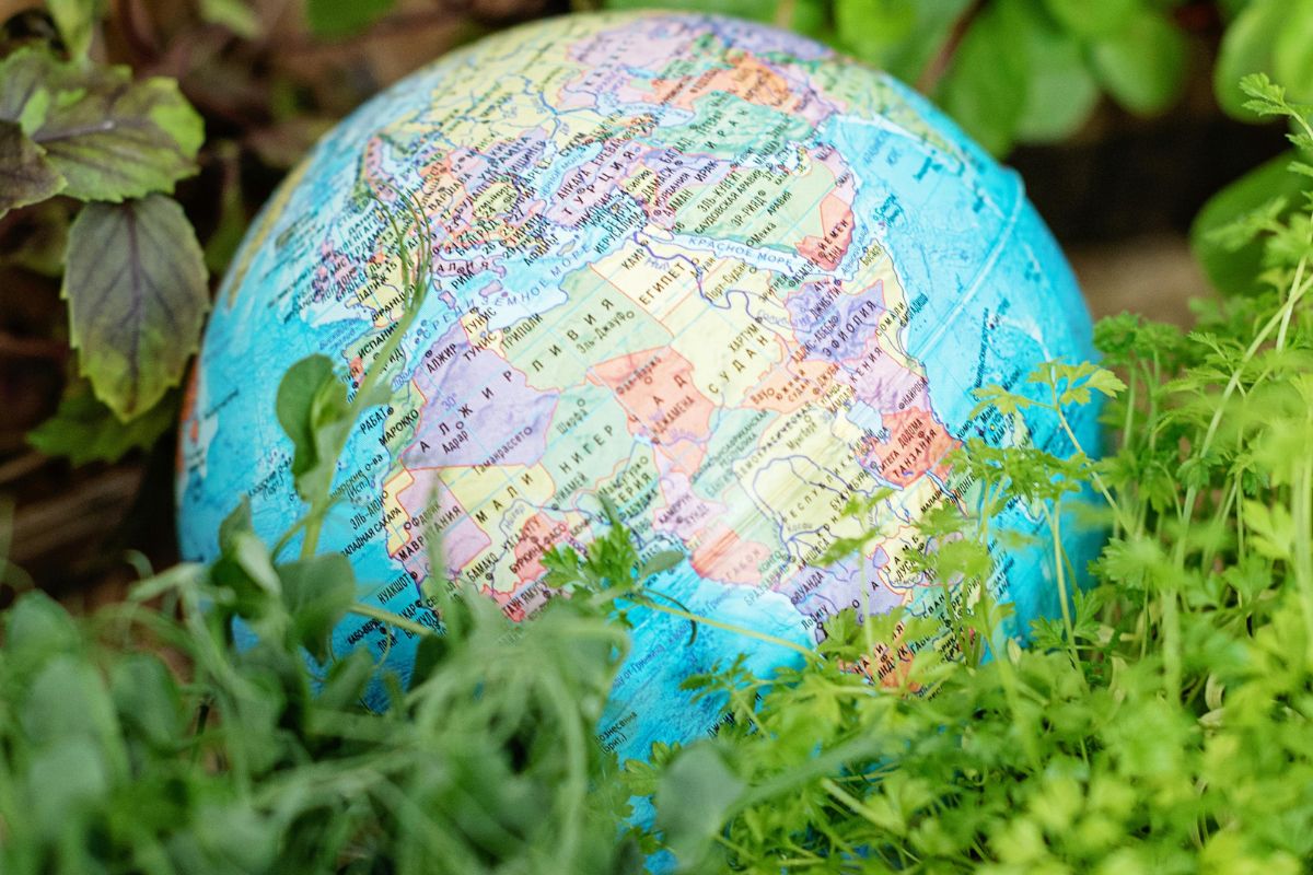 Breaking news: Earth announces taking a gap year from humans