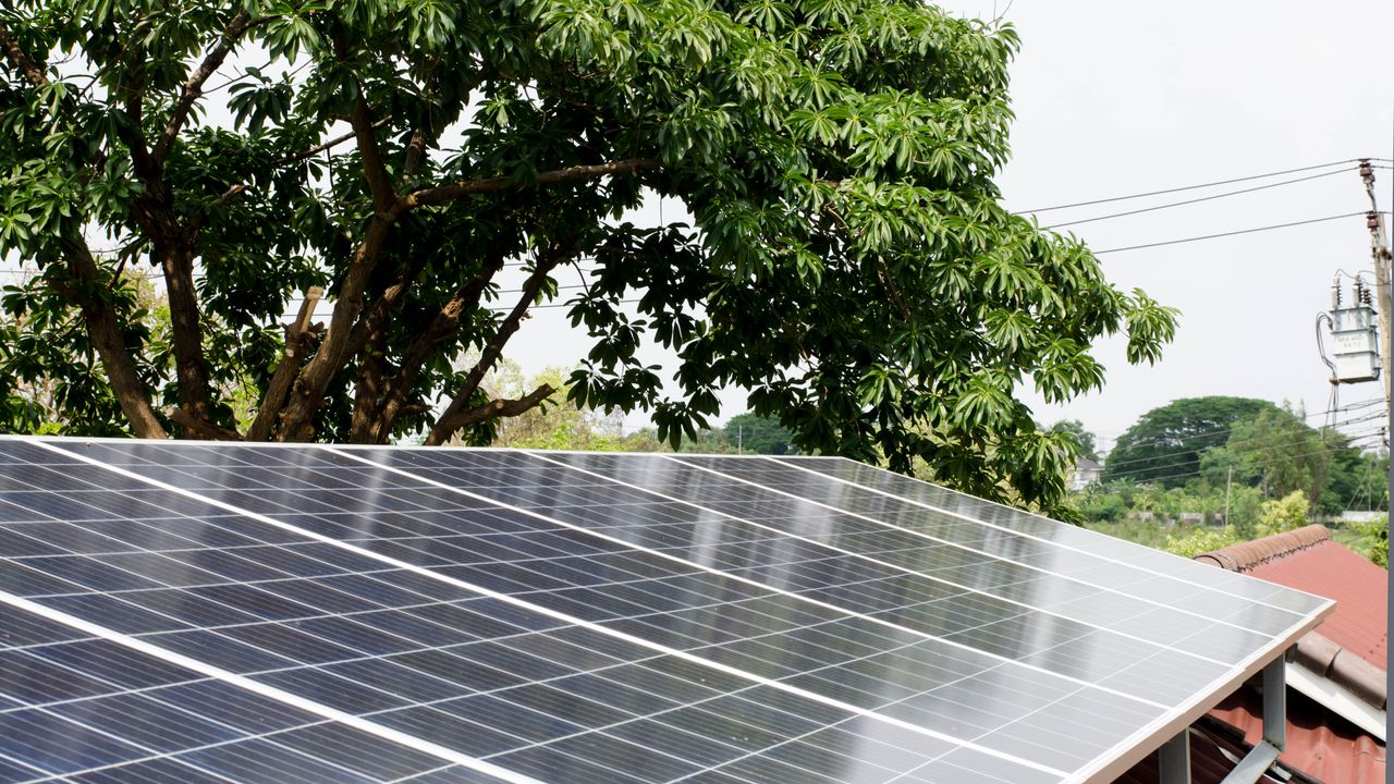 Solar panels are the best thing I ever bought for my house — but I wish ...