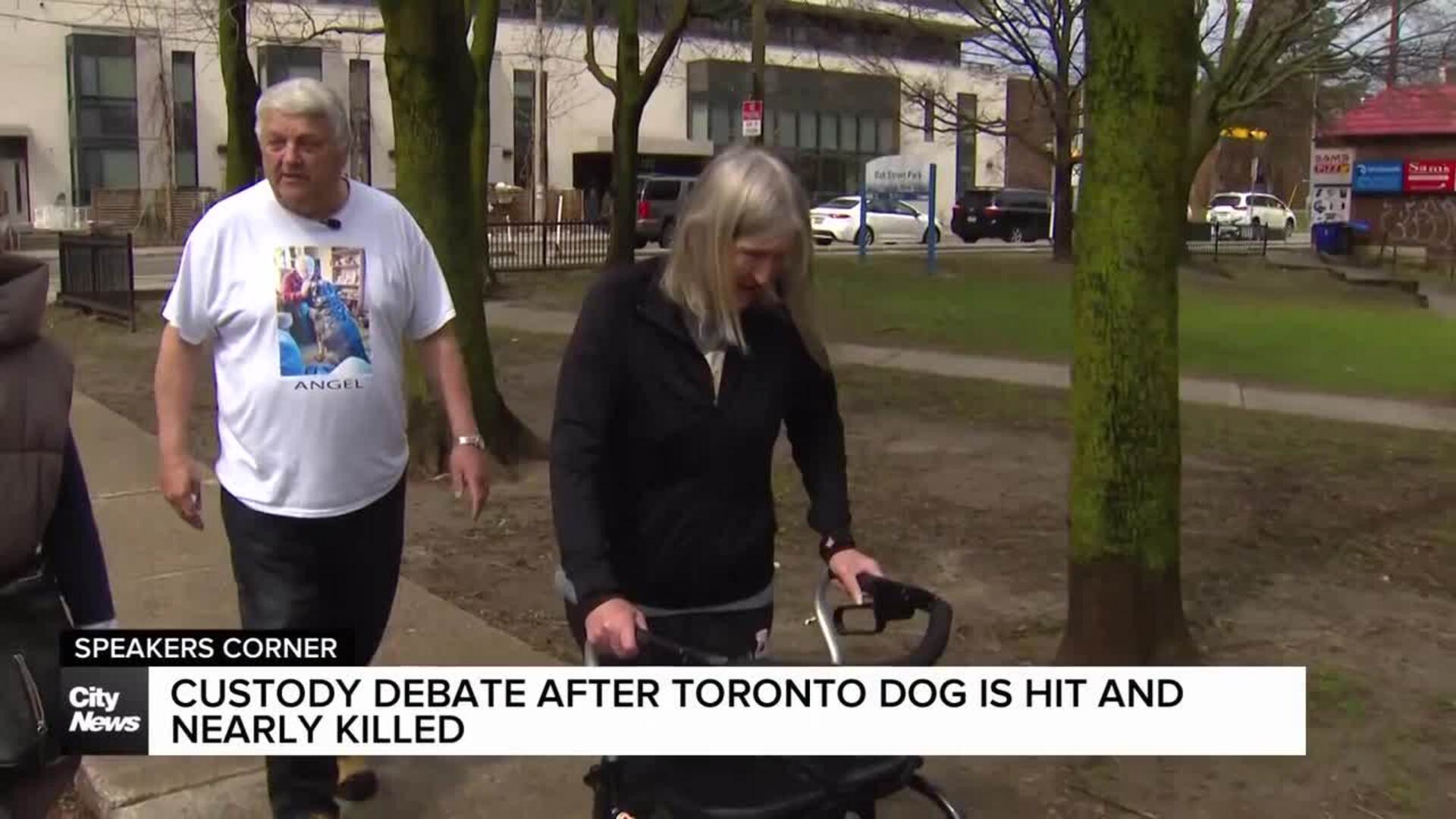 Dog surrender form signature sparks custody dispute in Toronto