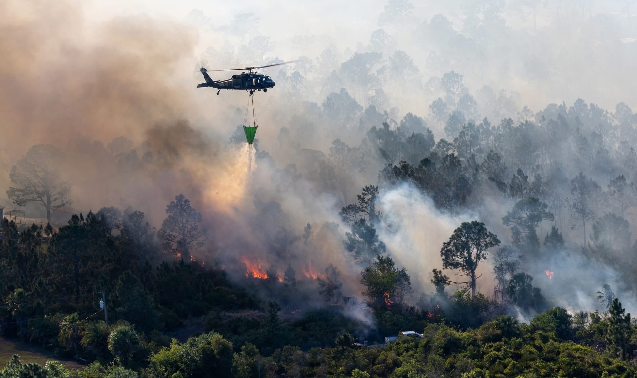 Brush fire burns 45 acres near Punta Gorda