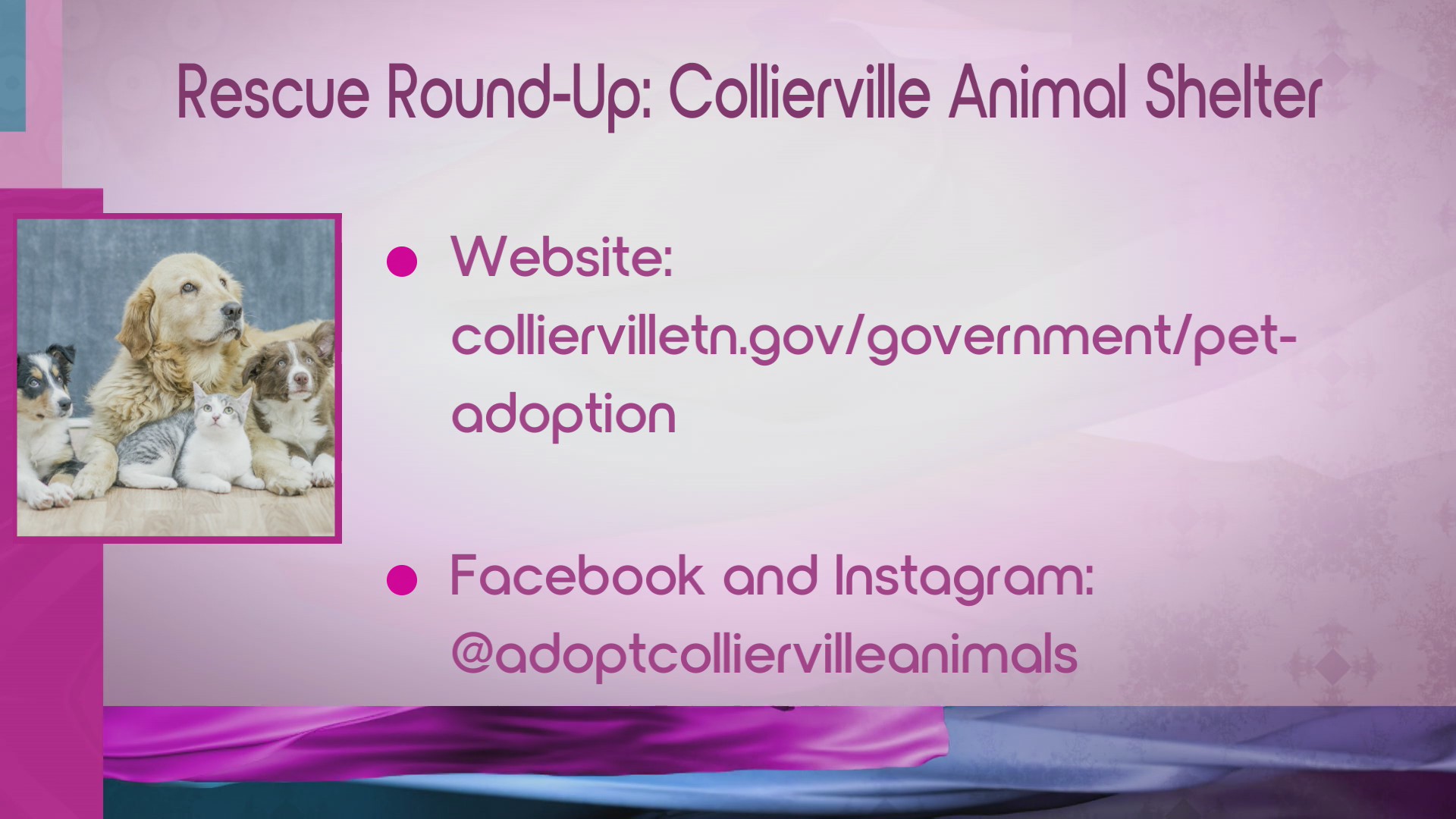 Rescue roundup: Snoopy and Woodstock