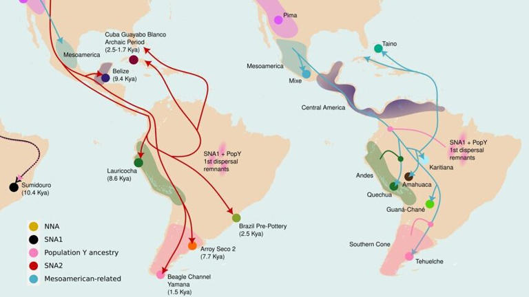 A vast Indigenous American genome map exposes lost migrations, ancient ...
