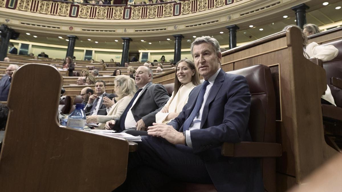 El PP rechaza la moción de Vox sobre la «prioridad nacional»