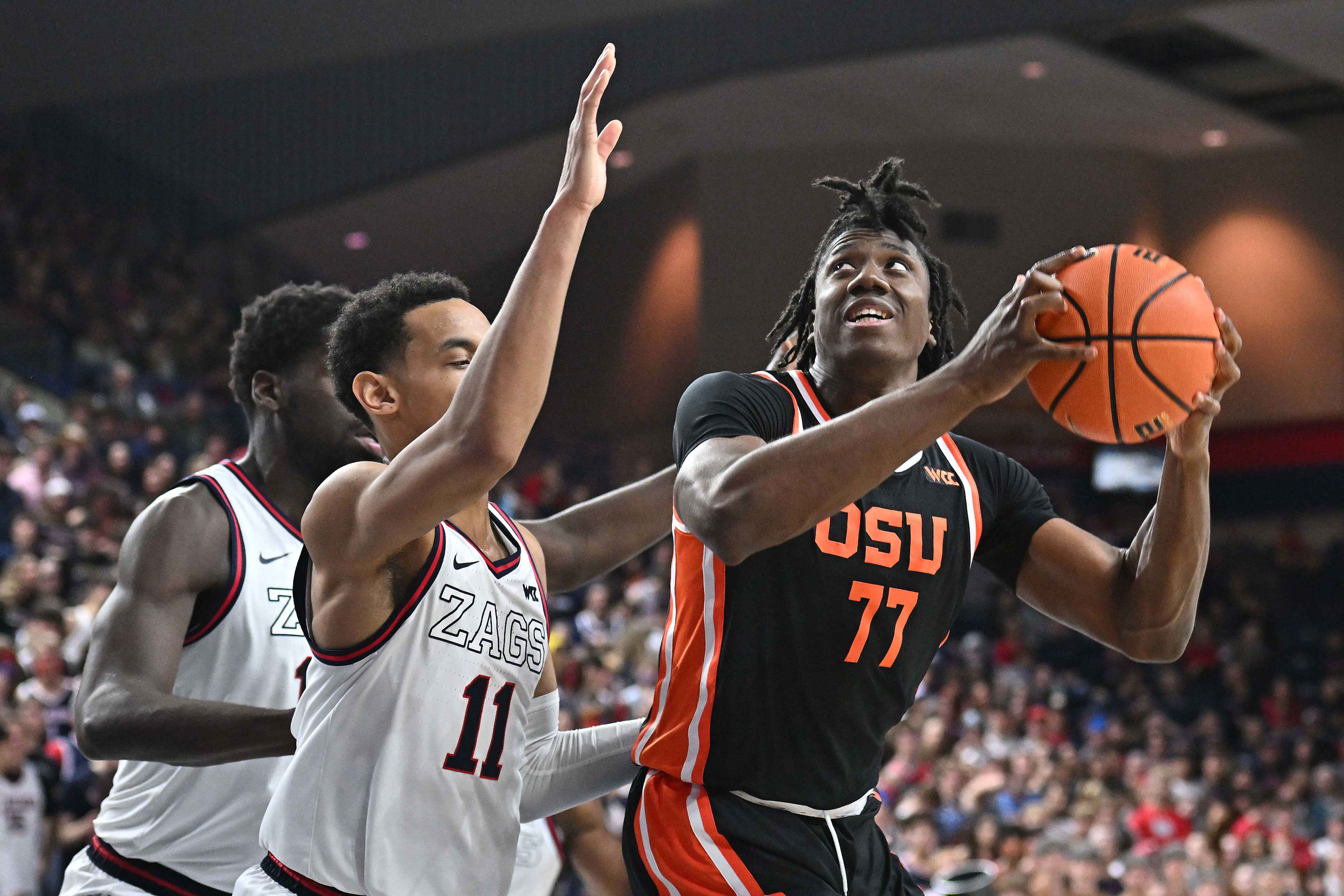 UNC basketball adds Maxim Logue from transfer portal, improves post depth