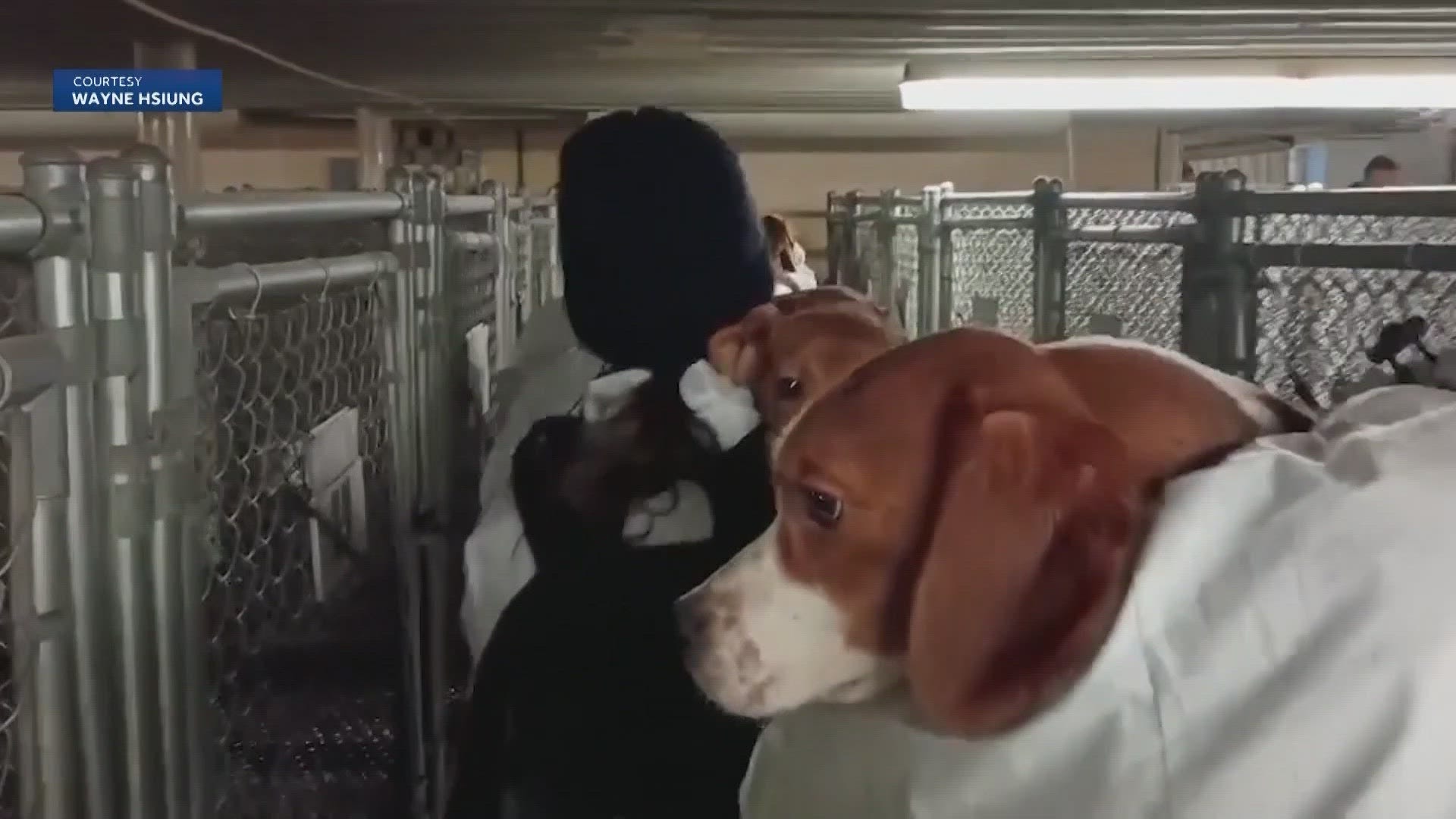 Four charged in March break-in at beagle facility