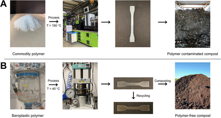 Discovery of new polymer class provides compostable alternative to ...